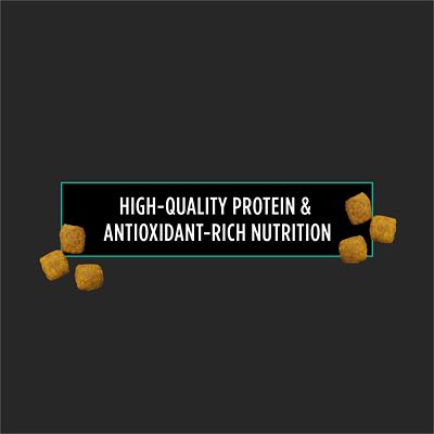 Image showing  Veterinary Diets EN Gastroenteric Canine Formula Dry Dog Food