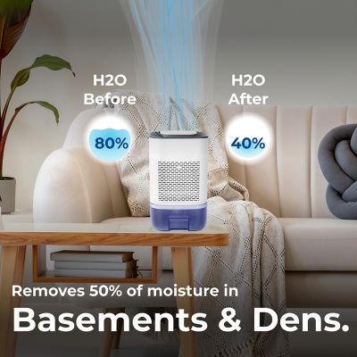 Image showing  Room Dehumidifier for the Home Basement Closet Bathroom 800mL Capacity