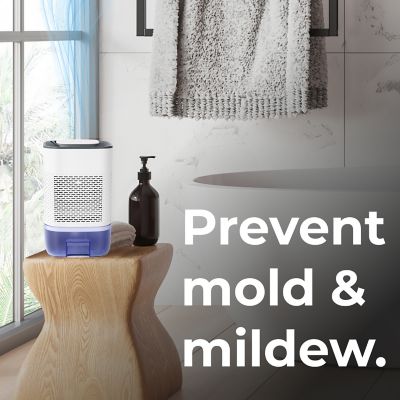 Image showing  Room Dehumidifier for the Home Basement Closet Bathroom 800mL Capacity