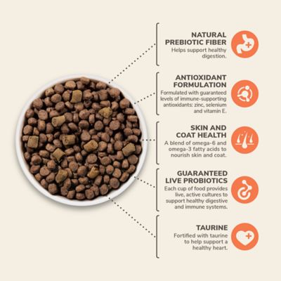 Image showing  All Life Stages Ocean Harvest Salmon and Whitefish Recipe Dry Dog Food