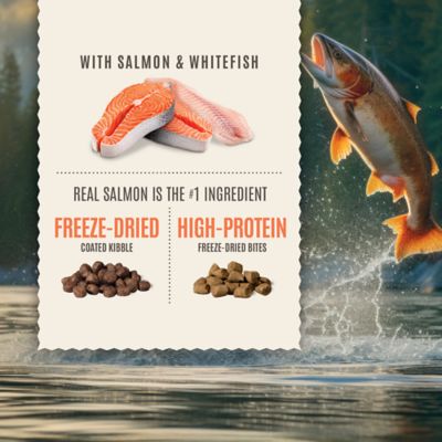 Image showing  All Life Stages Ocean Harvest Salmon and Whitefish Recipe Dry Dog Food