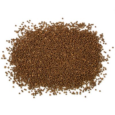 Image showing 8 th 4health Untamed All Life Stages Ocean Harvest Salmon and Whitefish Recipe Dry Dog Food