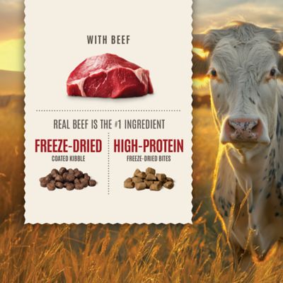 Image showing  All Life Stages Primal Cuts with Beef Recipe Dry Dog Food