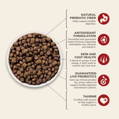 Image showing  All Life Stages Primal Cuts with Beef Recipe Dry Dog Food