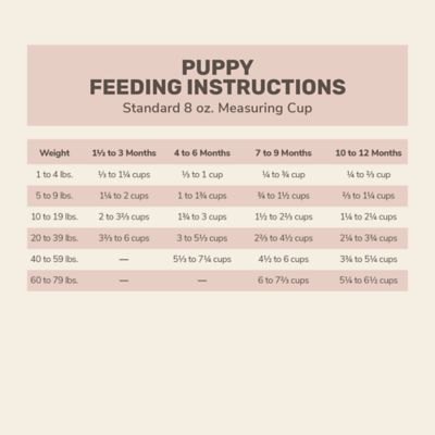 Image showing 6 th 4health Untamed All Life Stages Primal Cuts with Beef Recipe Dry Dog Food