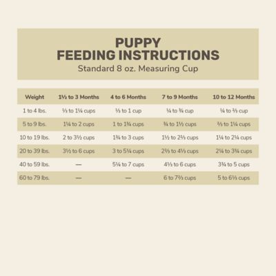 Image showing 6 th 4health Untamed All Life Stages Wild Feast with Turkey and Chicken Recipe Dry Dog Food