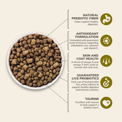 Image showing  All Life Stages Wild Feast with Turkey and Chicken Recipe Dry Dog Food