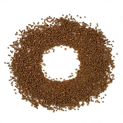 Image showing 8 th 4health Untamed All Life Stages Wild Feast with Turkey and Chicken Recipe Dry Dog Food