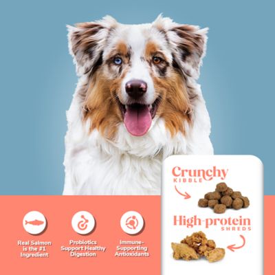 Image showing  Adult High Protein Salmon/Potato Formula Dry Dog Food