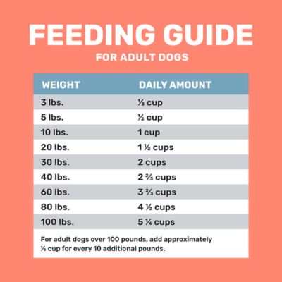 Image showing  Adult High Protein Salmon/Potato Formula Dry Dog Food