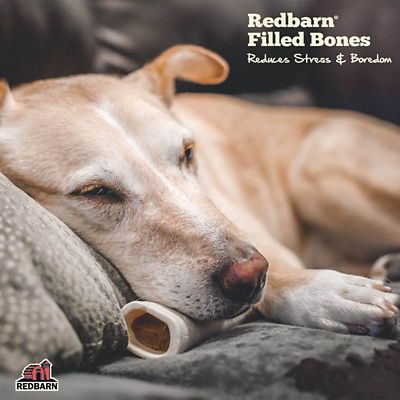 Image showing  Small Filled Bone Natural Cheese & Bacon