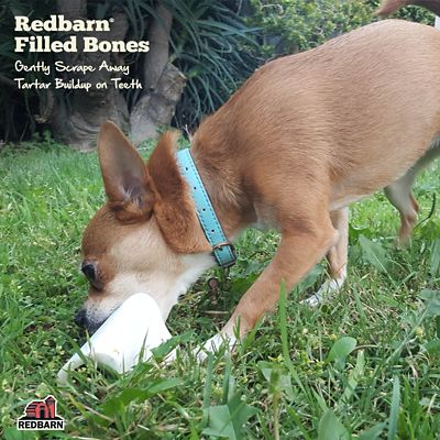 Image showing  Small Filled Bone Natural Cheese & Bacon