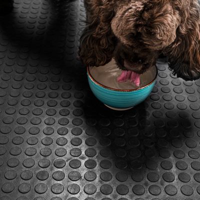 Image showing 6 th Ackland 39 in. x 33 ft. Coin-Pattern Rubber Mat Roll - 4mm Thick, Slip-Resistant Flooring for Garages, Gyms, Trailers & More