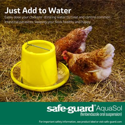 Image showing  Aquasol Dewormer for Chickens, 3 mL