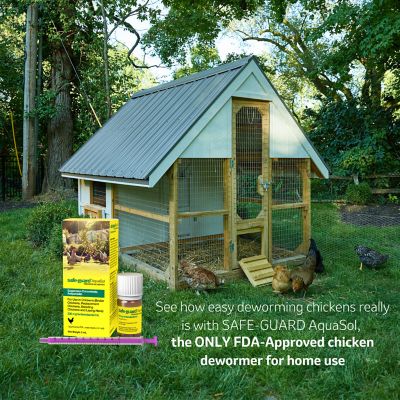 Image showing  Aquasol Dewormer for Chickens, 3 mL