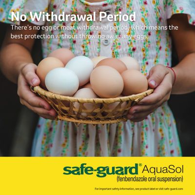 Image showing  Aquasol Dewormer for Chickens, 3 mL