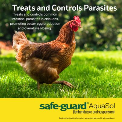 Image showing  Aquasol Dewormer for Chickens, 3 mL