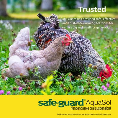 Image showing 5 th Safe-Guard Aquasol Dewormer for Chickens, 3 mL