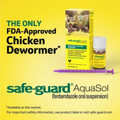 Image showing 6 th Safe-Guard Aquasol Dewormer for Chickens, 3 mL