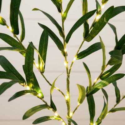 Image showing  23 in. Pre-Lit Artificial Olive Branch Stems with 30 Warm White LED Lights, 3 pc.
