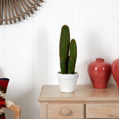 Image showing  1.5 ft. Artificial Cactus Succulent Plant