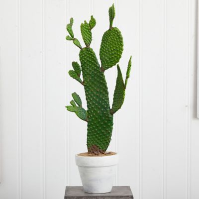 Image showing  27 in. Artificial Cactus Plant