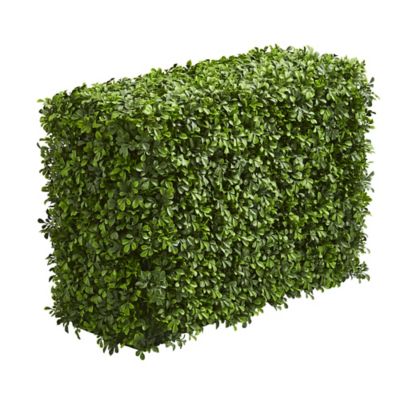 Image showing  30 in. Artificial Eucalyptus Hedge