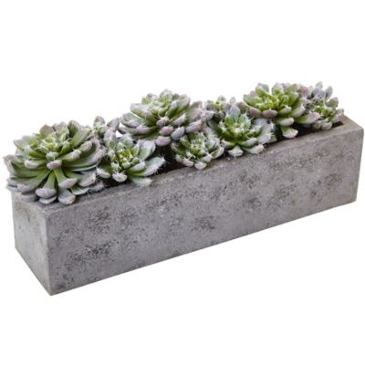 Nearly Natural 5.5 in. Artificial Succulent Garden with Textured Concrete Planter