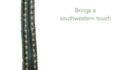 Image showing  41 in. Artificial Cactus in Stone Planter Plant