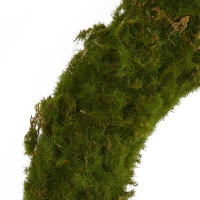 Image showing  20 in. Artificial Moss Wreath