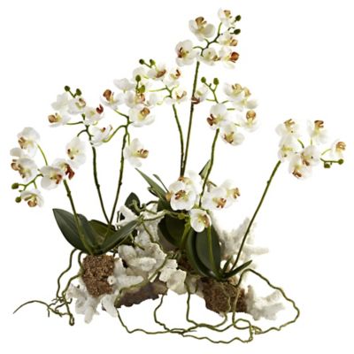 Nearly Natural 14 in. Artificial Mini Phalaenopsis Plant Set on Coral
