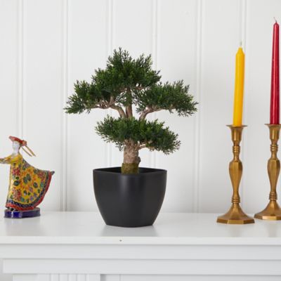 Image showing  15 in. Artificial Cedar Bonsai