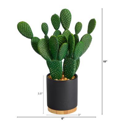 Image showing  10 in. Artificial Cactus Succulent Plant in Planter