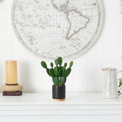 Image showing  10 in. Artificial Cactus Succulent Plant in Planter