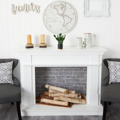 Image showing  10 in. Artificial Cactus Succulent Plant in Planter