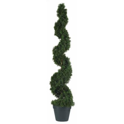 Image showing  4 ft. Artificial Cedar Spiral Silk Tree