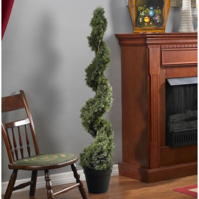 Image showing  4 ft. Artificial Cedar Spiral Silk Tree