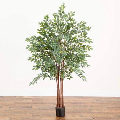 Image showing  4 ft. Artificial Ruscus Silk Tree