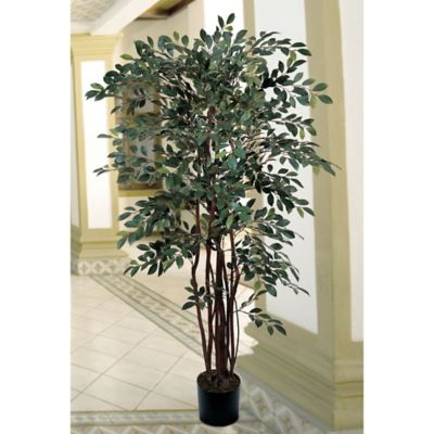 Image showing  4 ft. Artificial Ruscus Silk Tree