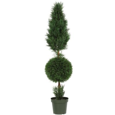 Image showing  5 ft. Artificial Cypress Ball and Cone Silk Tree, Indoor/Outdoor