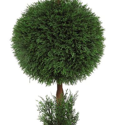 Image showing  5 ft. Artificial Cypress Ball and Cone Silk Tree, Indoor/Outdoor