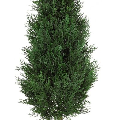 Image showing  5 ft. Artificial Cypress Ball and Cone Silk Tree, Indoor/Outdoor