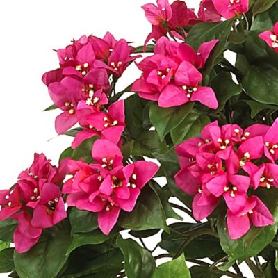 Image showing  34 in. Artificial Bougainvillea Topiary with Wood Box