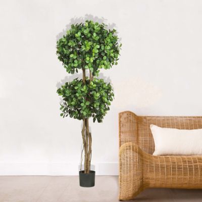 Image showing  5.5 ft. Artificial Eucalyptus Double Ball Topiary Silk Tree