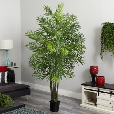 Image showing  6 ft. Areca Palm Silk Tree, 5275