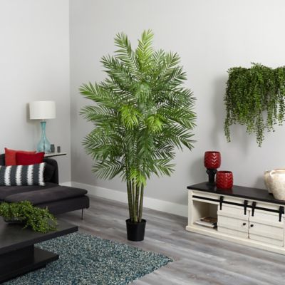 Image showing  6 ft. Areca Palm Silk Tree, 5275