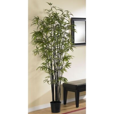 Image showing  6.5 ft. Artificial Black Bamboo Silk Tree