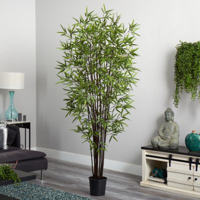 Image showing  6.5 ft. Artificial Black Bamboo Silk Tree