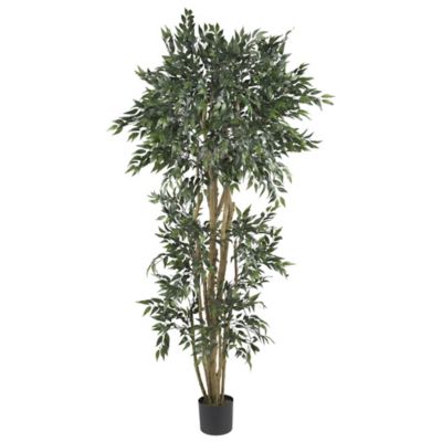 Image showing  6 ft. Artificial Green Ash Silk Tree