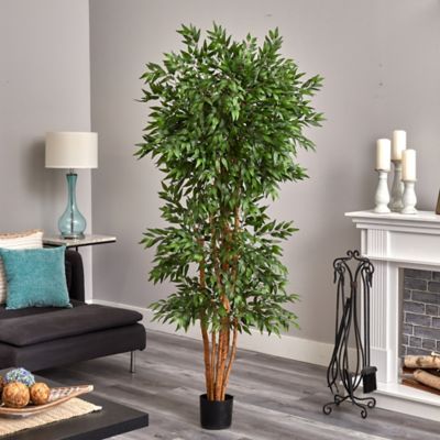 Image showing  6 ft. Artificial Green Ash Silk Tree